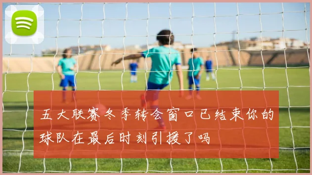 五大联赛冬季转会窗口已结束你的球队在最后时刻引援了吗