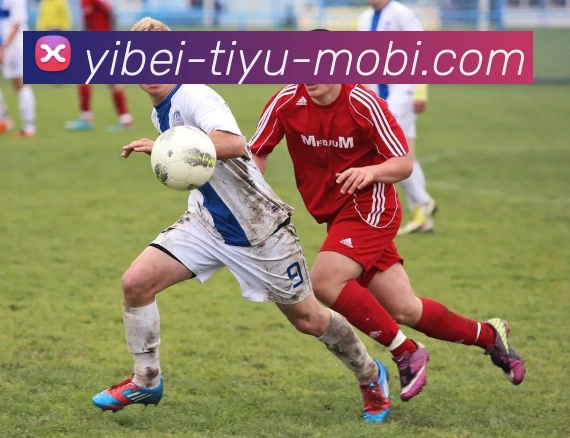 易倍体育发展历程